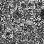 (image for) Floral Black & White